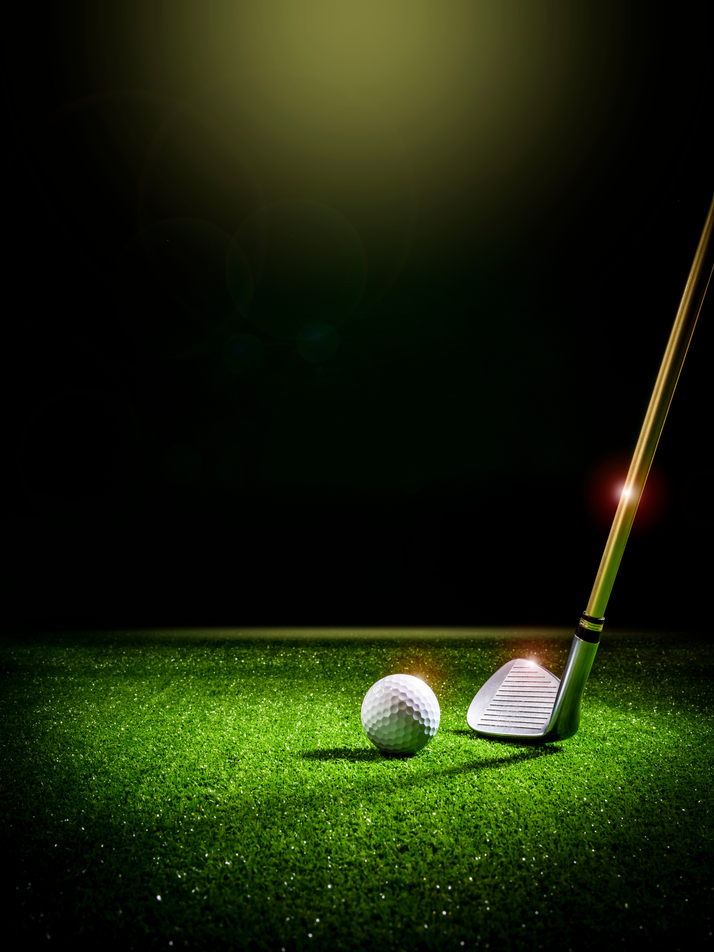 Golf club and golf ball on the turf